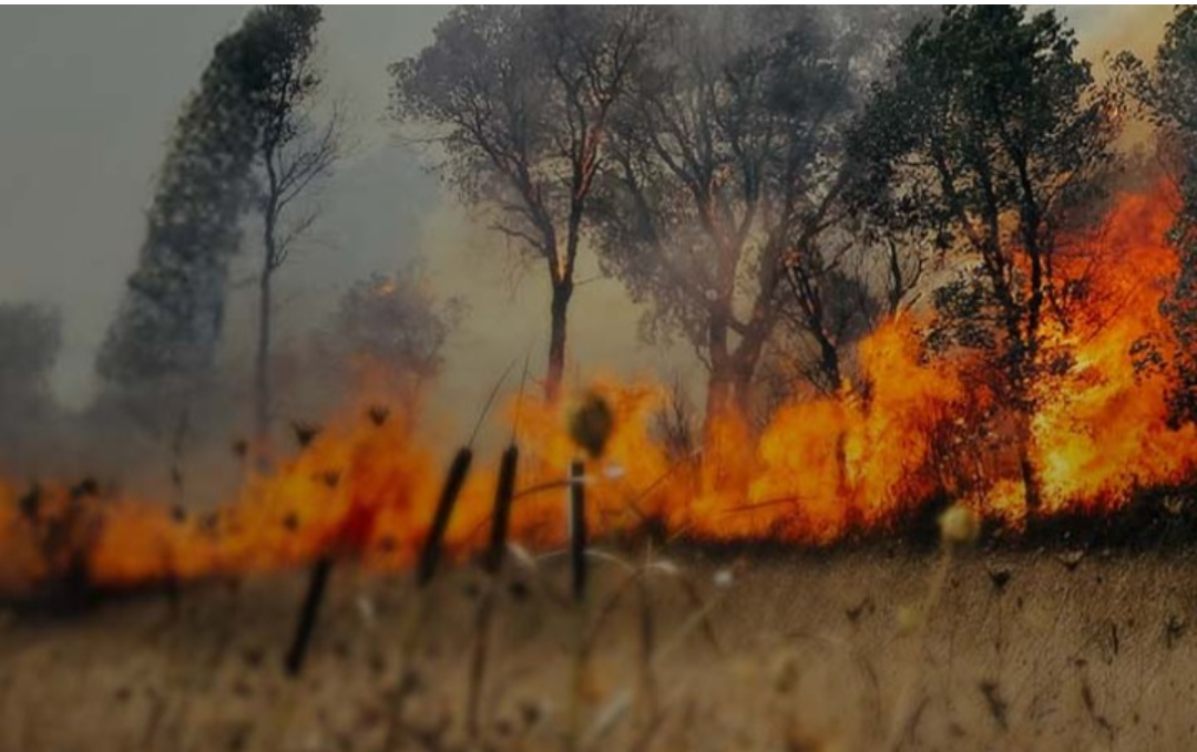 Screenshot_20250721-132915.Chrome~2