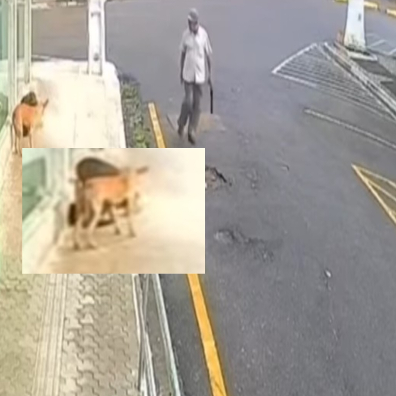20250827_080255