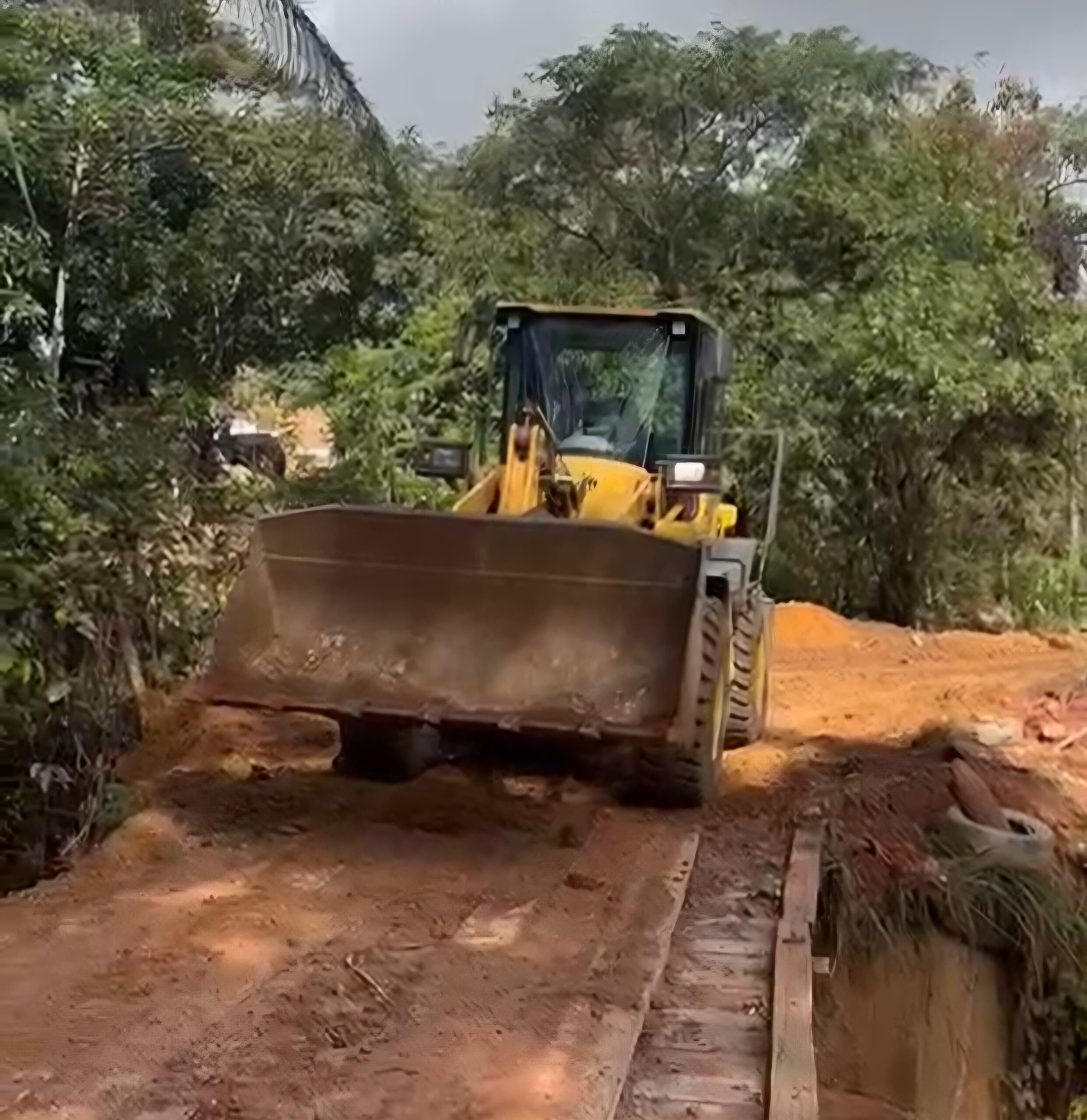 IMG-20260122-WA0217(1)