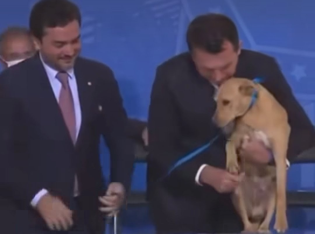 Screenshot_20260129-100607.Instagram~2