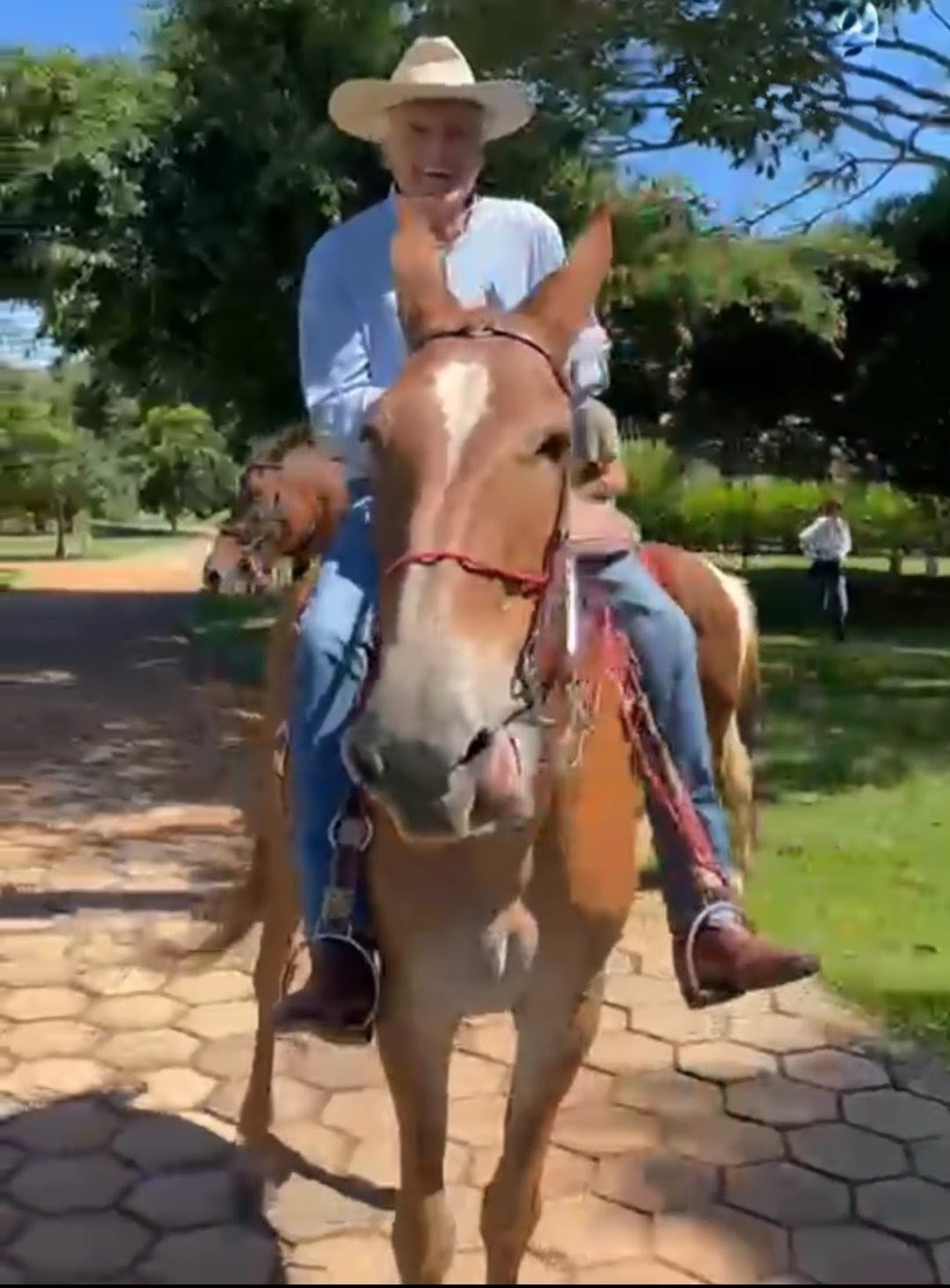 Screenshot_20260216-071019.Fotos~2