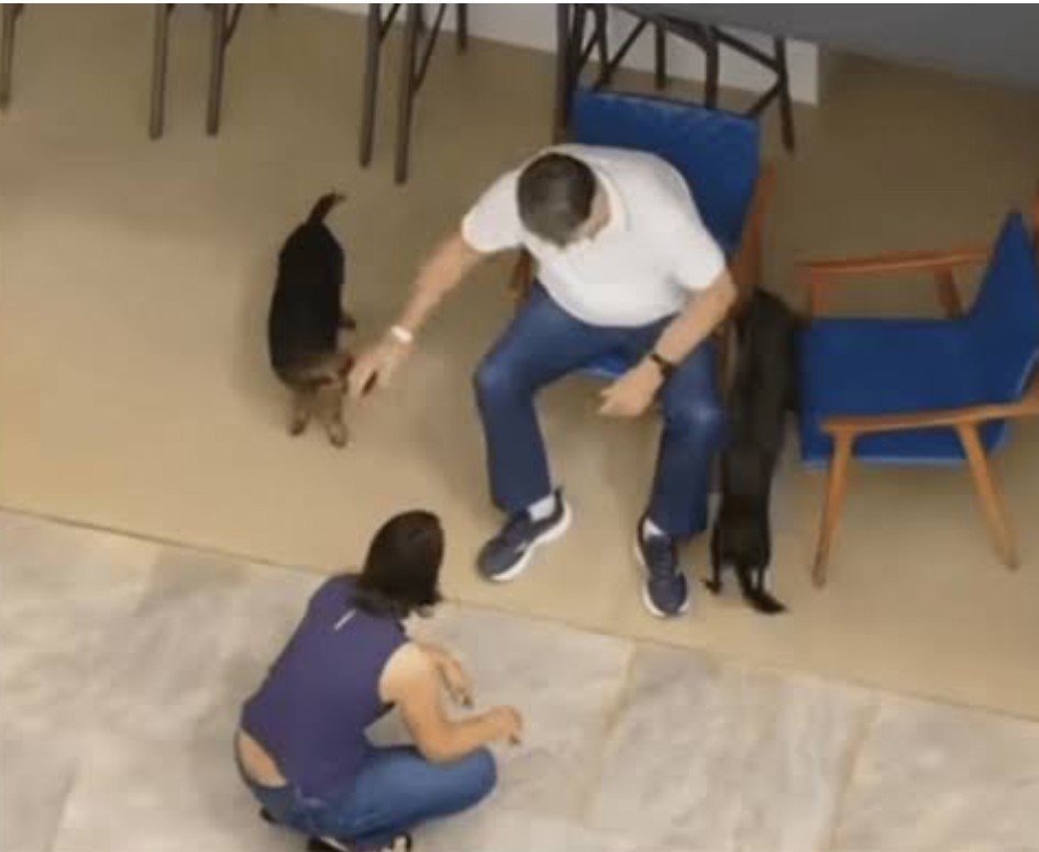 Screenshot_20260327-125517.Google~2